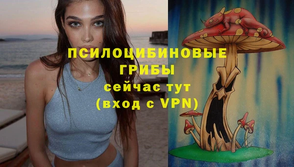 таблы Армянск