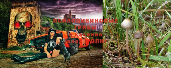 таблы Армянск
