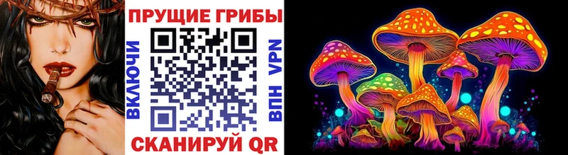 купить Аша Псилоцибиновые грибы MAGIC MUSHROOMS